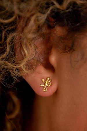 Boucles d'oreilles salamandre en acier inoxydable h5 Image2